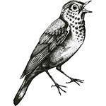 Veery Books logo