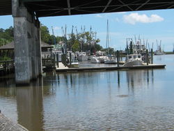 Photo of Books About The South