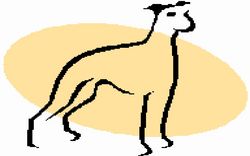 birddog360 logo