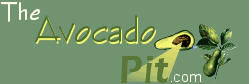 The Avocado Pit logo