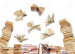 Nevermore Used Books Logo