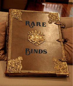 Rare Binds Logo