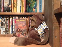 logo: Barn Cat Books