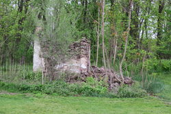 Wardbooks store photo