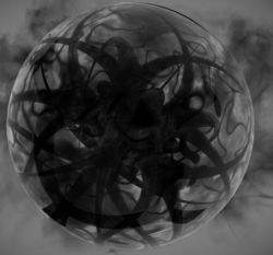 logo: Black13 Book Store