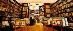 Sigedon LTD store photo