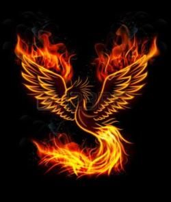 Phoenix Books NZ Logo