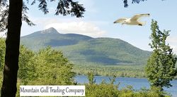 Mountain Gull Trading Company logo