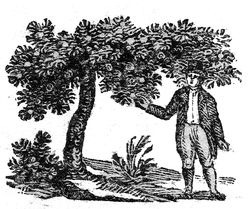 Hinck and Wall Rare Books logo