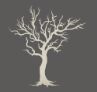 Lost Bookstore logo