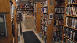 Gingerbreadstation Bookstore store photo