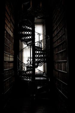 Ex_Libris_Vos store photo