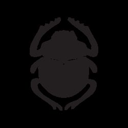 The Hidden Scarab Logo