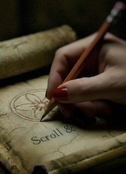 Scroll & Pencil store photo