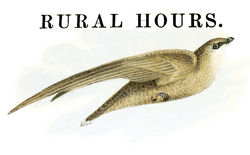 Rural Hours Logo