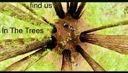 In the Trees Logo