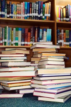 Windy Books store photo