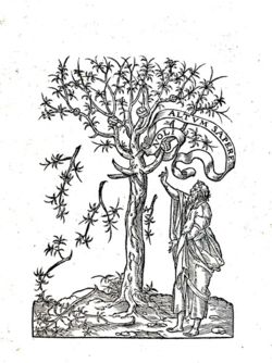 Painswick Books Logo