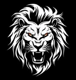 Stewart James Logo