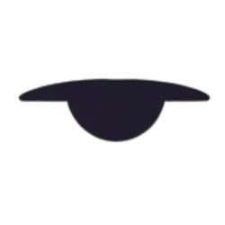 Centuries of Stony Sleep Logo
