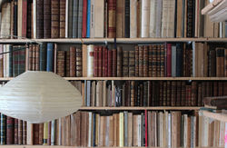 Des livres autour (Julien Mannoni) store photo