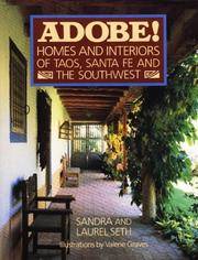 Adobe Homes and Interiors