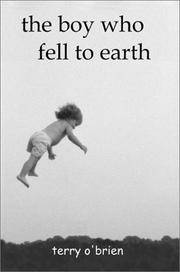 The Boy Who Fell To Earth: A Modern Pilgrim's Progress