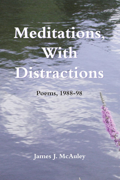 Meditations, with Distractions: Poems, 1988-1998