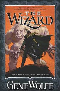 The Wizard (ISBN: 9780765312013)