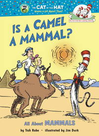 Is a Camel a Mammal? All about Mammals