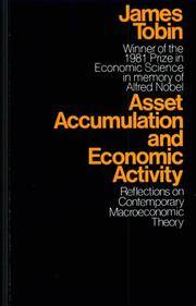 Asset accumulation and Economic Activity; Reflections on Contemporary MacRoeconomic Theory