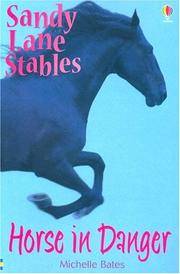 Horse in Danger (Sandy Lane Stables)