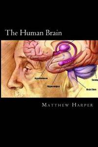 The Human Brain: A Fascinating Book Containing Human Brain Facts, Trivia, Images & Memory Recall...