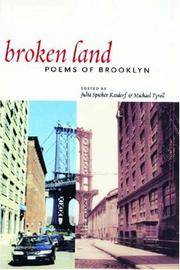 Broken Land: Poems of Brooklyn