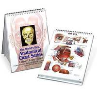 Classic Library Edition by Peter Bachin; Anatomical Chart Company