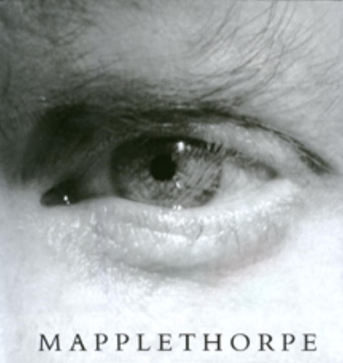 最大15%OFFクーポン Robert by Mapplethorpe Mapplethorpe; Arthur by Introduction アート・デザイン・音楽