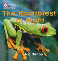 Collins Big Cat Phonics - The Rainforest at Night: Band 04/Blue: Blue/Band 4