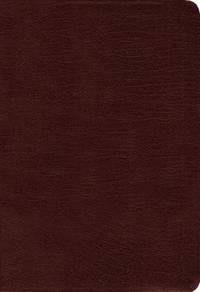 cover of Holy Bible: Amplified, Burgundy, Bonded Leather, Captures the Full Meaning Behind the Original Greek and Hebrew