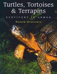 Turtles, Tortoises and Terrapins: Survivors in Armor by Orenstein, Ronald - 2001-10-06