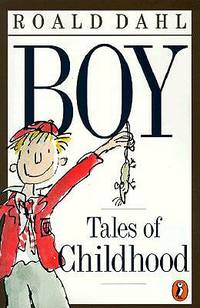 Boy (ISBN: 9780141303055)