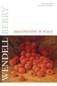 Imagination in Place: Essays