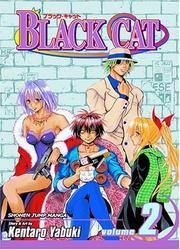 Black Cat, Vol. 2 (v. 2)