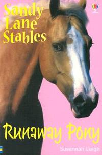 Runaway Pony (Sandy Lane Stables)