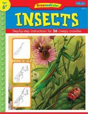 Learn To Draw Insects