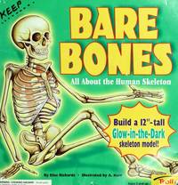 Bare bones: All about the human skeleton