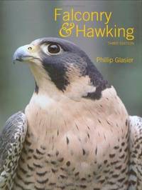Falconry & Hawking