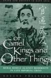 OF CAMEL KINGS AND OTHER THINGS: Rural Rebels Against Modernity in Late Imperial China (State and...