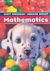 Scott Foresman Addison-Wesley Mathematics, Grade 3