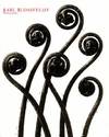 Karl Blossfeldt Photography