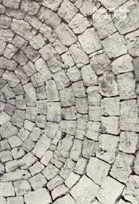 9780262510103